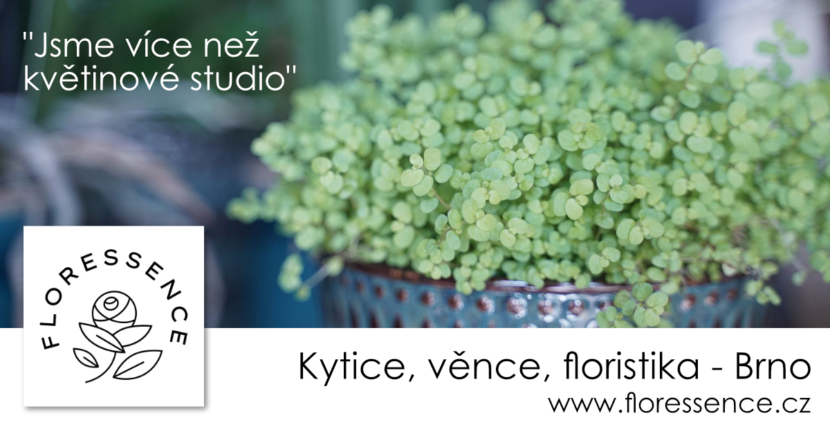 Floressence - Floresscence